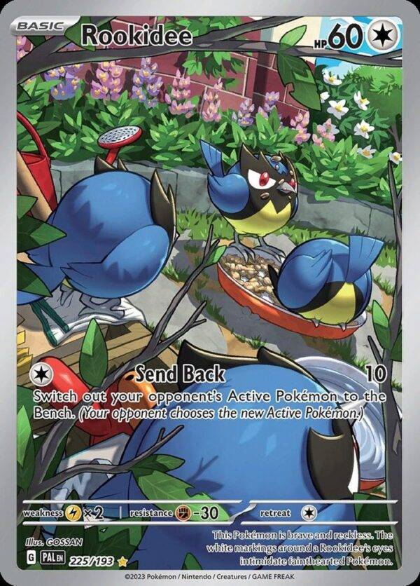 Rookidee - 225/193