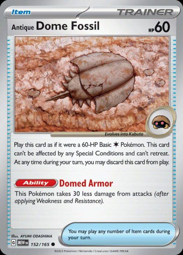 Antique Dome Fossil - 152/165