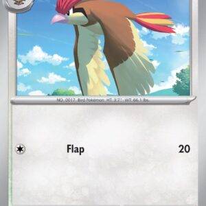 Pidgeotto - 017/165