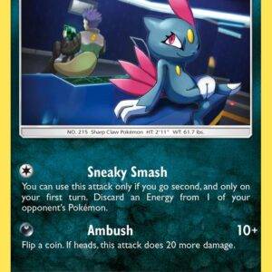 Sneasel - 73/156