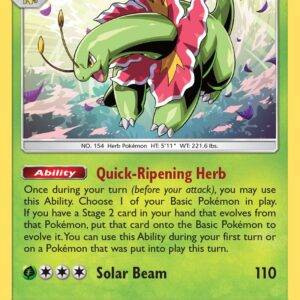 Meganium - 8/214