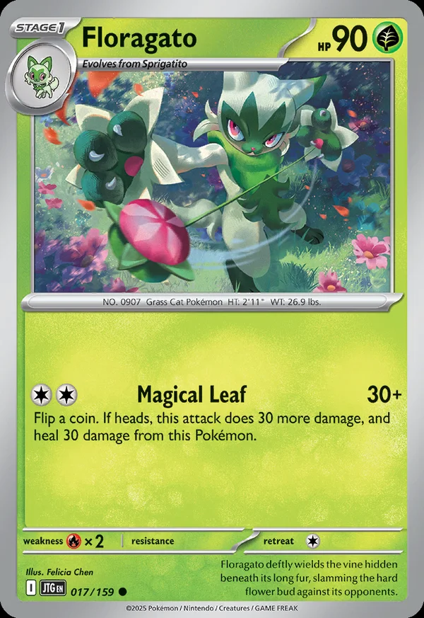 Floragato - 17/159