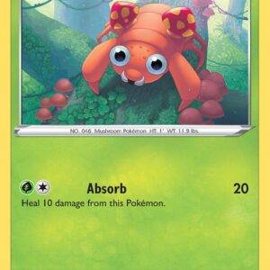 Paras - 4/196
