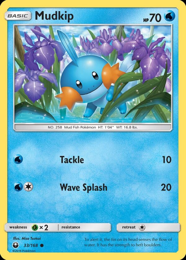 Mudkip - 33/168