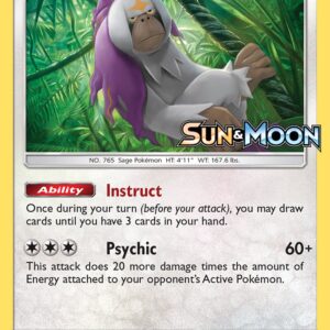 Oranguru - SM13