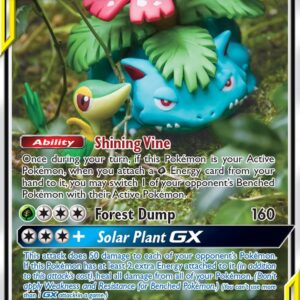 Venusaur & Snivy-GX - SM229