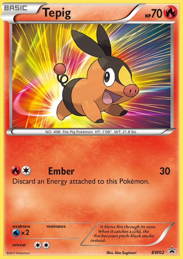 Tepig - BW02