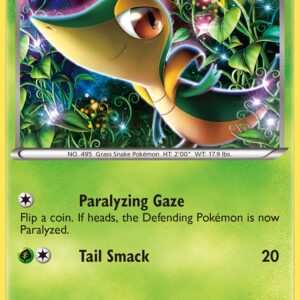 Snivy - BW06