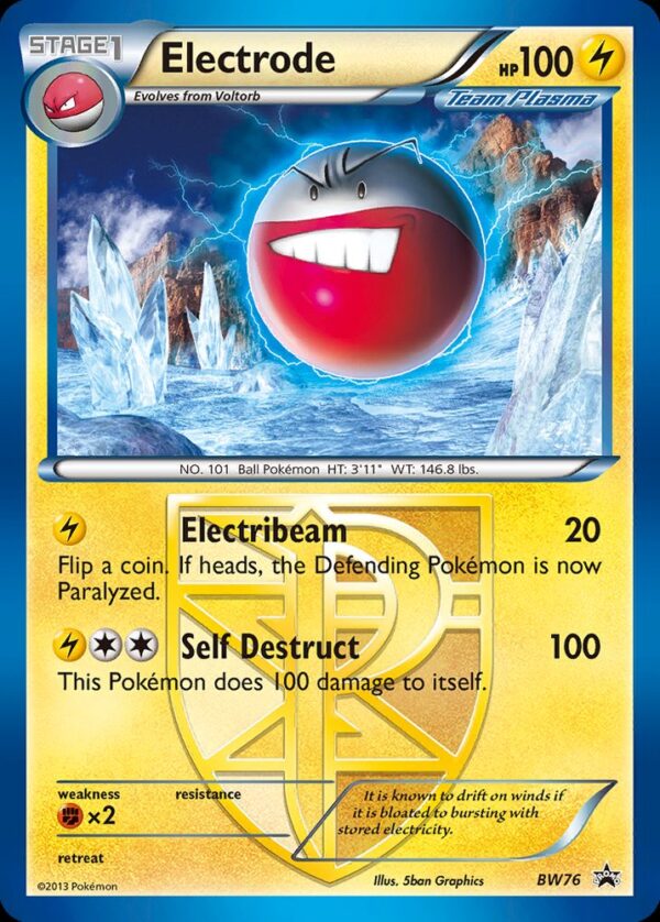 Electrode - BW76