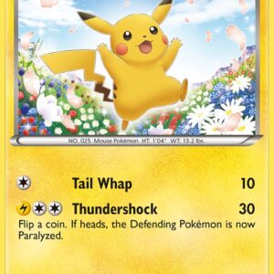 Pikachu - BW77