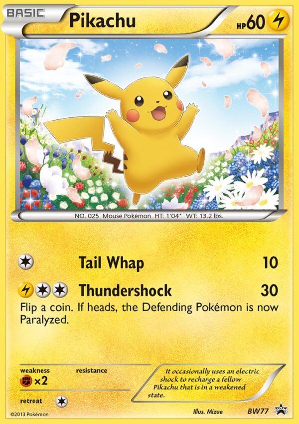 Pikachu - BW77