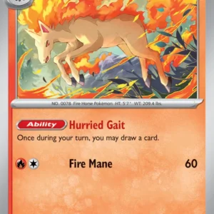 Rapidash - 30/182