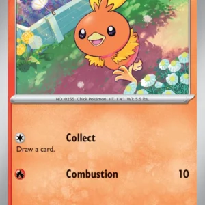 Torchic - 40/182