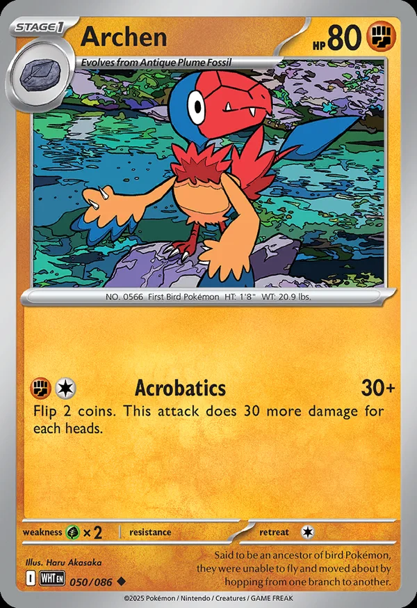 Archen - 50/086