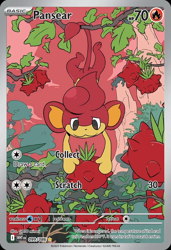 Pansear - 99/086