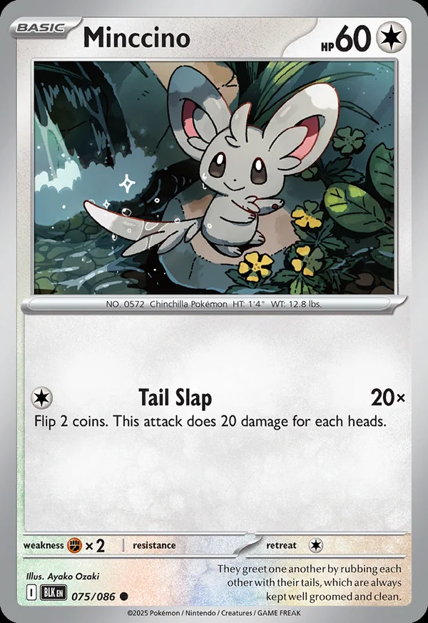 Minccino - 75/086