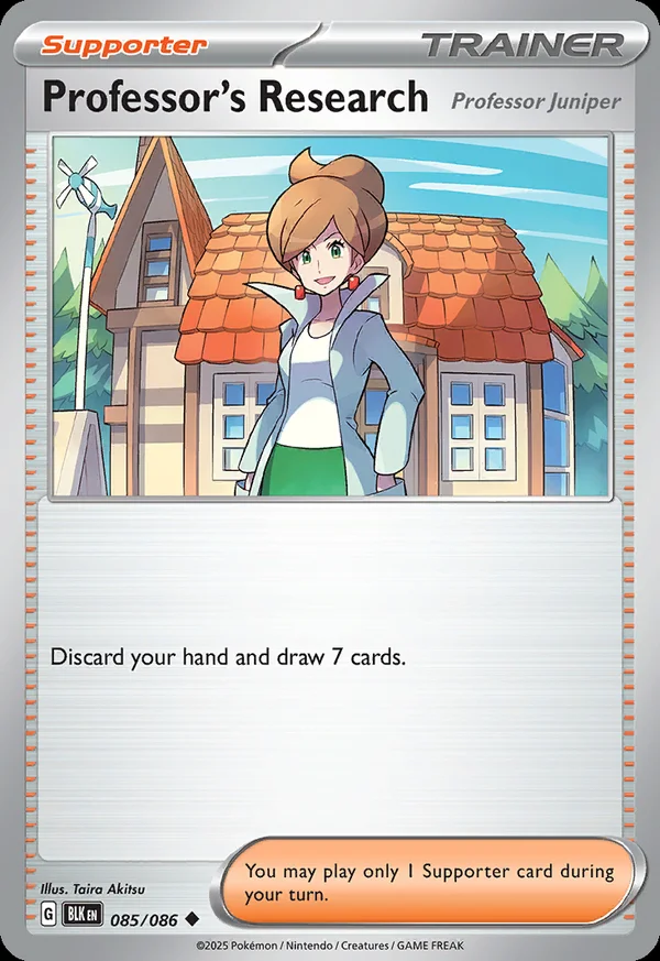 Professor's Research - 85/086