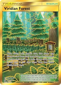 Viridian Forest (Secret) - 256/236 (SM - UNIFIED MINDS) (Holofoil)