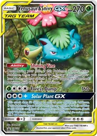 Venusaur & Snivy GX - SM229 - SM229 (SM PROMOS) (Holofoil)