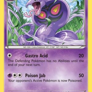 Arbok 48/146 Normal XY Base Set