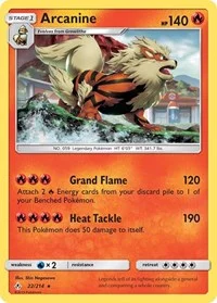 Arcanine | 22/214 | Holofoil | SM - Unbroken Bonds