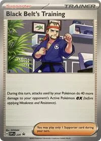 Black Belt's Training | 220 | Normal | SV: Scarlet & Violet Promo Cards