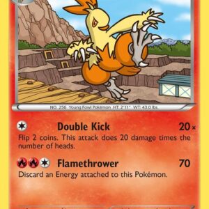 Combusken 16/108 Normal Dark Explorers