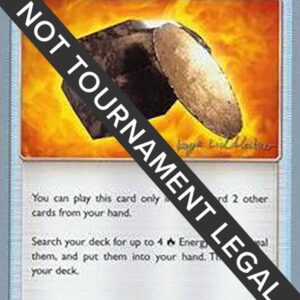 Fiery Flint 2019 (Kaya Lichtleitner) 60/70 Normal World Championship Decks