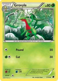 Grovyle | 7/116 | Normal | Plasma Freeze