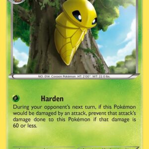 Kakuna 4/146 Normal XY Base Set Kakuna 4/146 Normal XY Base Set