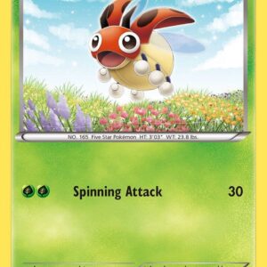 Ledyba 6/146 Reverse Holofoil XY Base Set Ledyba 6/146 Reverse Holofoil XY Base Set