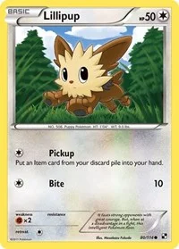 Lillipup (80) | 80/114 | Reverse Holofoil | Black and White