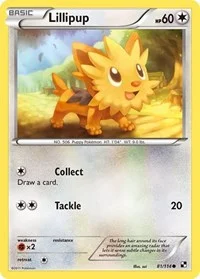 Lillipup (81) | 81/114 | Reverse Holofoil | Black and White