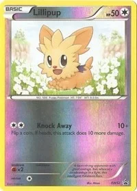 Lillipup | BW52 | Reverse Holofoil | Black and White Promos
