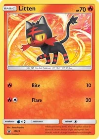Litten | SM23 | Holofoil | SM Promos
