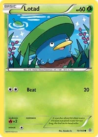 Lotad | 10/160 | Reverse Holofoil | XY - Primal Clash