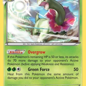 Meganium 3/122 Holofoil XY – BREAKpoint
