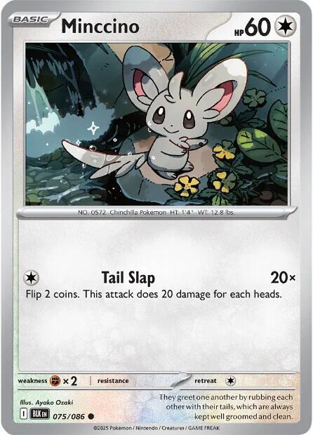 Minccino 075/086 Normal SV: Black Bolt