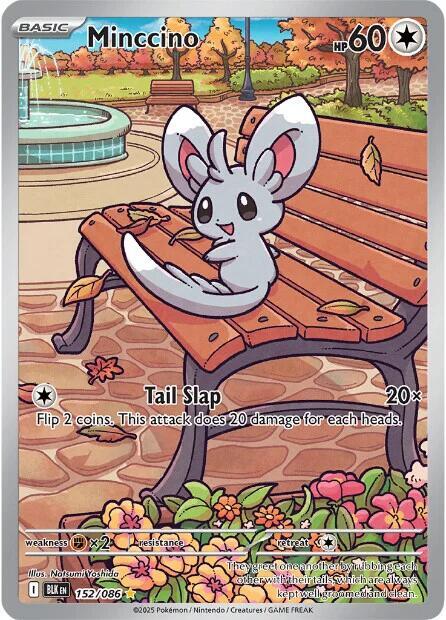 Minccino 152/086 Holofoil SV: Black Bolt