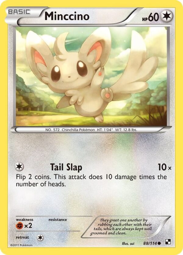 Minccino 88/114 Reverse Holofoil Black and White