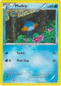 Mudkip | 5/12 | 005/012 | Holofoil | McDonald's Promos 2015