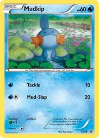 Mudkip | XY38 | Holofoil | XY Promos