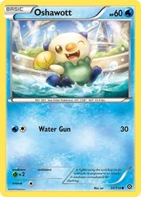 Oshawott | 30/114 | Reverse Holofoil | XY - Steam Siege