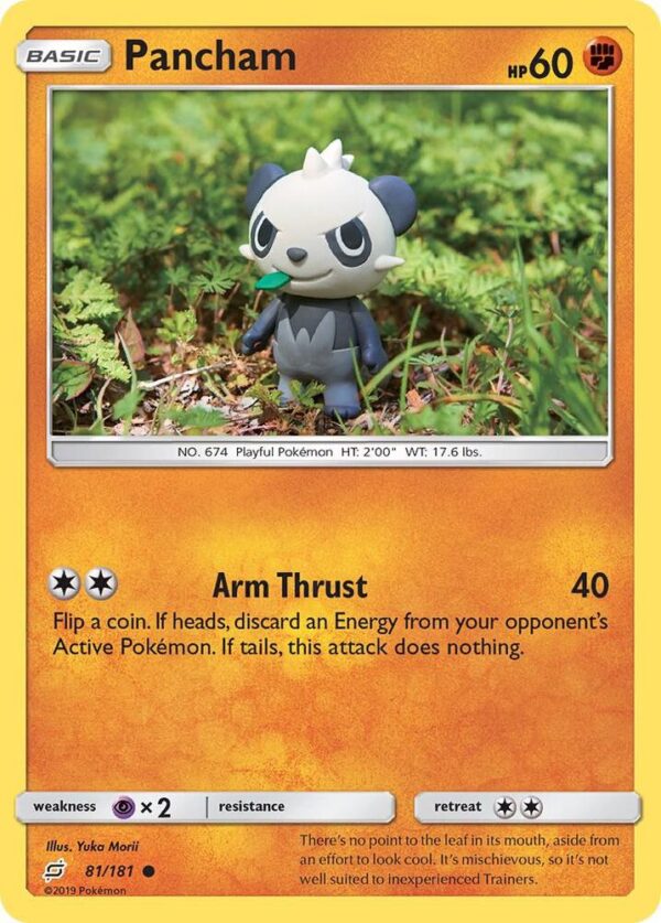 Pancham 81/181 Normal SM – Team Up