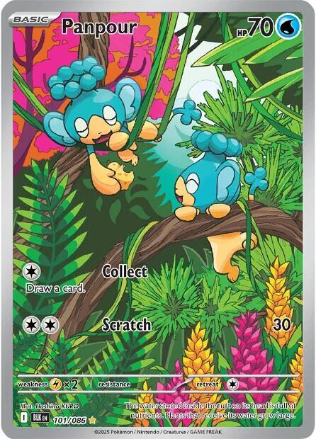 Panpour 101/086 Holofoil SV: Black Bolt
