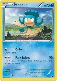 Panpour | 11/39 | Normal | Kalos Starter Set Panpour | 11/39 | Normal | Kalos Starter Set