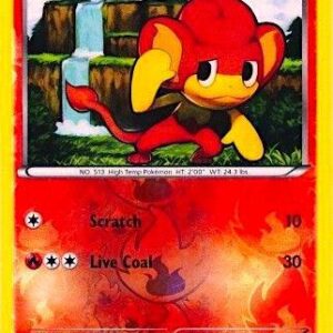 Pansear 21/114 (Energy Holo) 021/114 Reverse Holofoil Miscellaneous Cards & Products Pansear 21/114 (Energy Holo) 021/114 Reverse Holofoil Miscellaneous Cards & Products