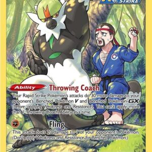 Passimian TG08/TG30 Holofoil SWSH12: Silver Tempest Trainer Gallery
