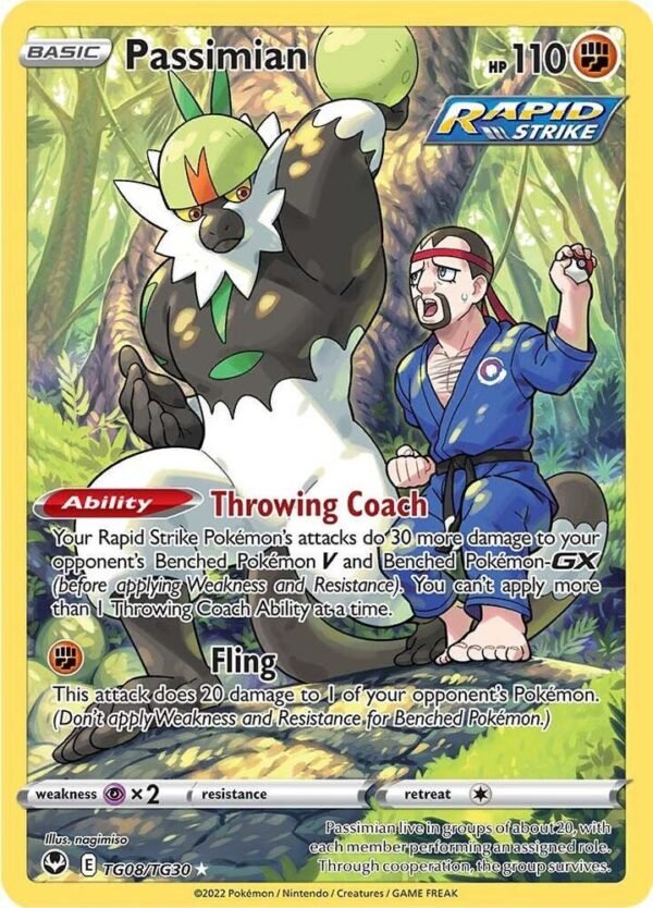 Passimian TG08/TG30 Holofoil SWSH12: Silver Tempest Trainer Gallery Passimian TG08/TG30 Holofoil SWSH12: Silver Tempest Trainer Gallery
