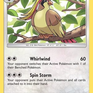 Pidgeot 124/181 Normal SM – Team Up